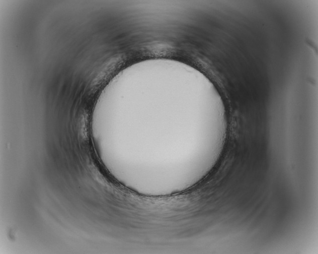 X0000100770018200807101803