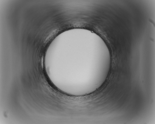 X0000100770019200807101803