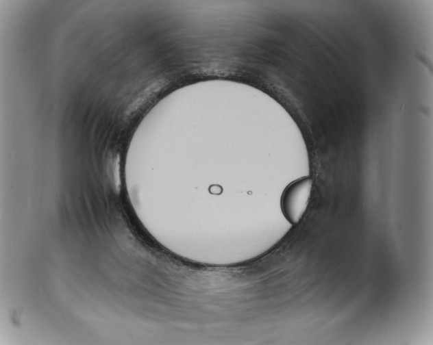 X0000100770020200807101803