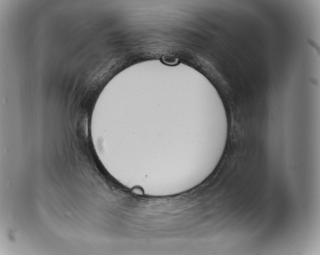 X0000100770021200807101803