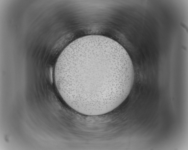 X0000100770022200807101803