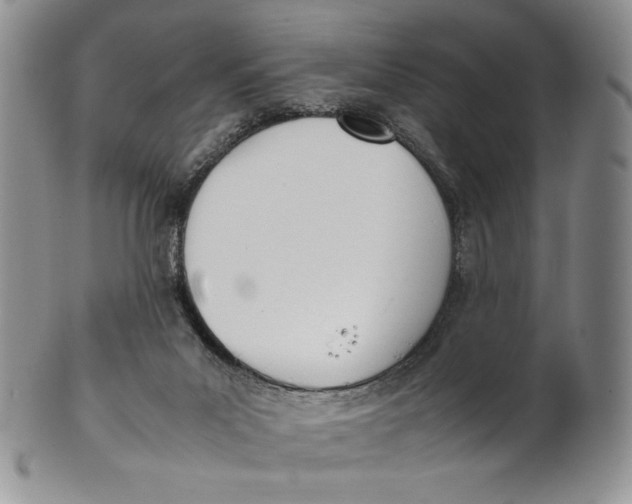 X0000100770023200807101803