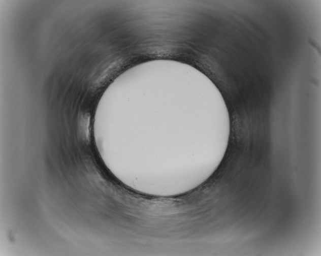 X0000100770024200807101803