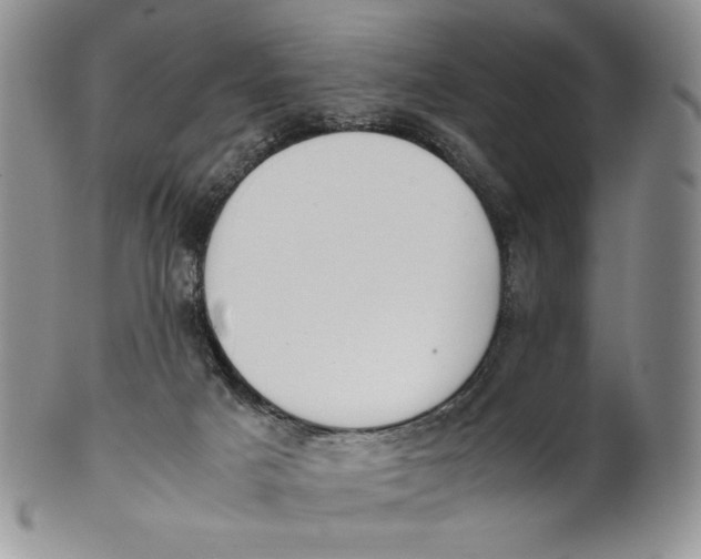 X0000100770025200807101803