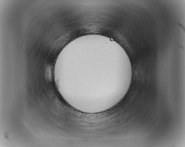 X0000100770026200807101802