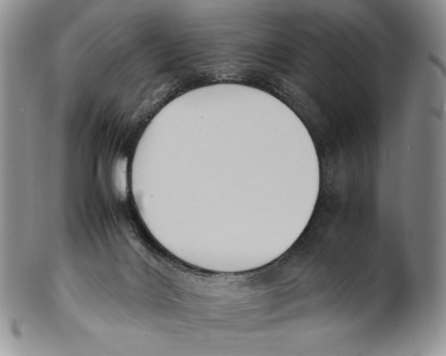 X0000100770028200807101802
