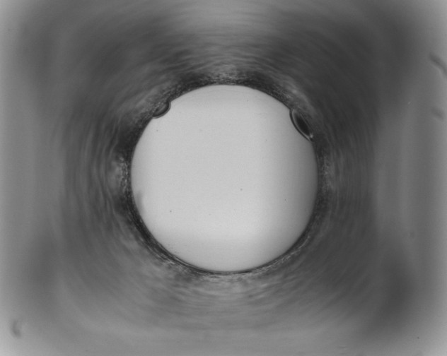X0000100770029200807101802