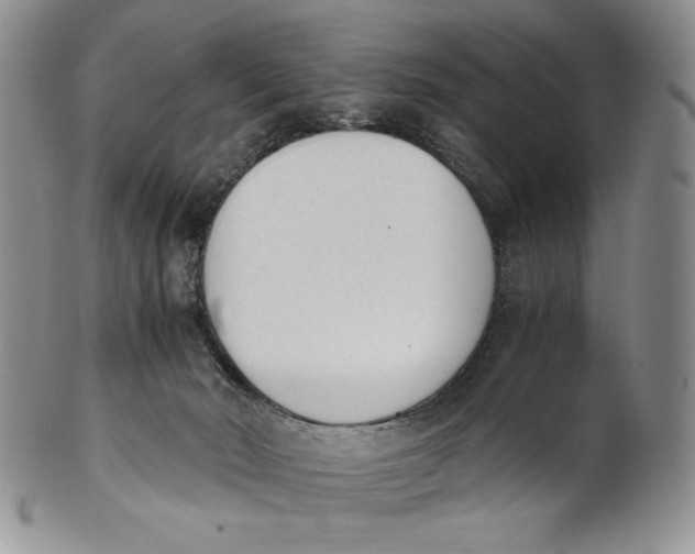 X0000100770030200807101802