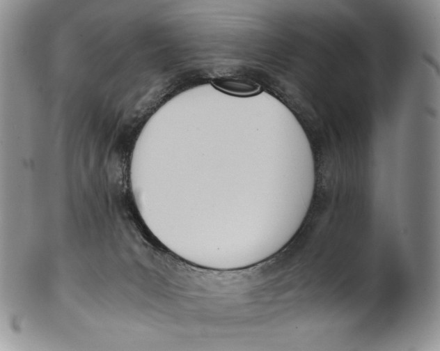 X0000100770031200807101802
