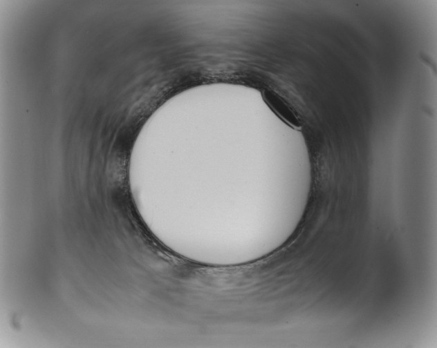 X0000100770033200807101802