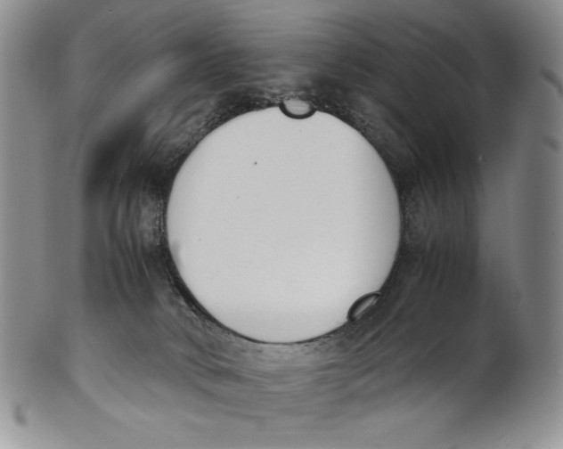 X0000100770034200807101802