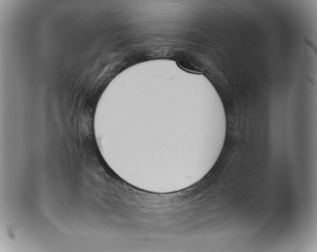 X0000100770035200807101802