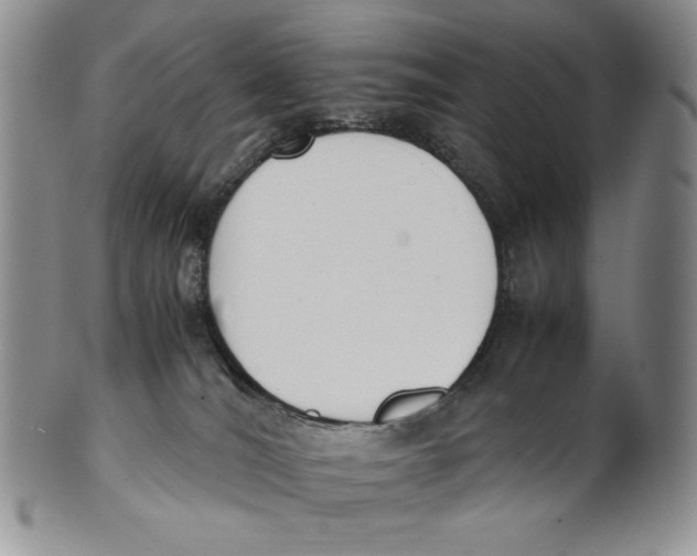 X0000100770036200807101802