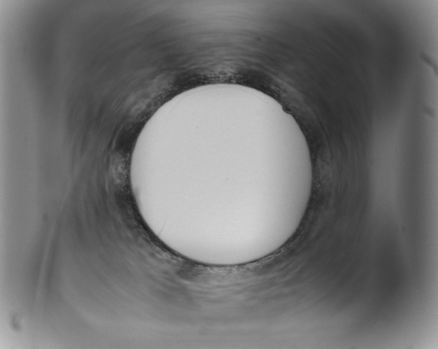 X0000100770037200807101802