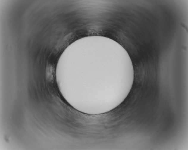 X0000100770038200807101802