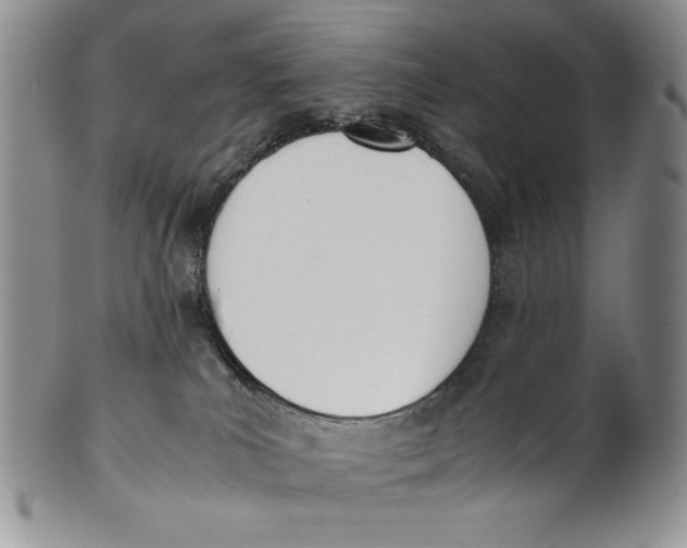 X0000100770039200807101802