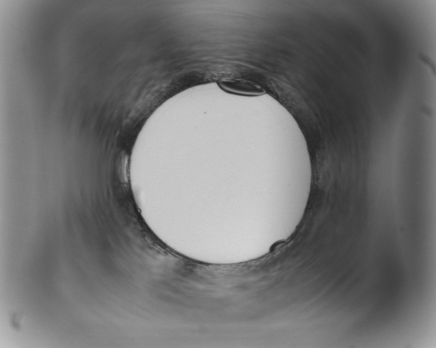 X0000100770041200807101802