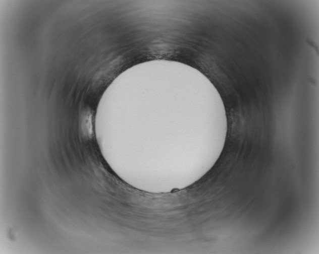 X0000100770042200807101802