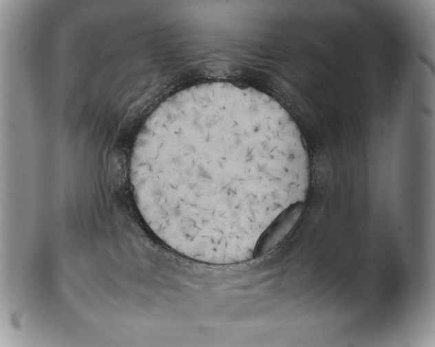 X0000100770043200807101802