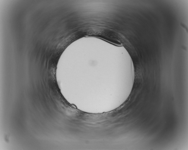 X0000100770045200807101802
