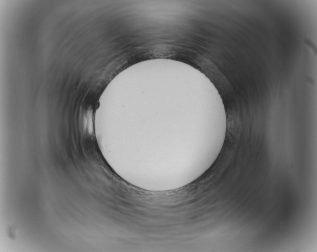 X0000100770046200807101802