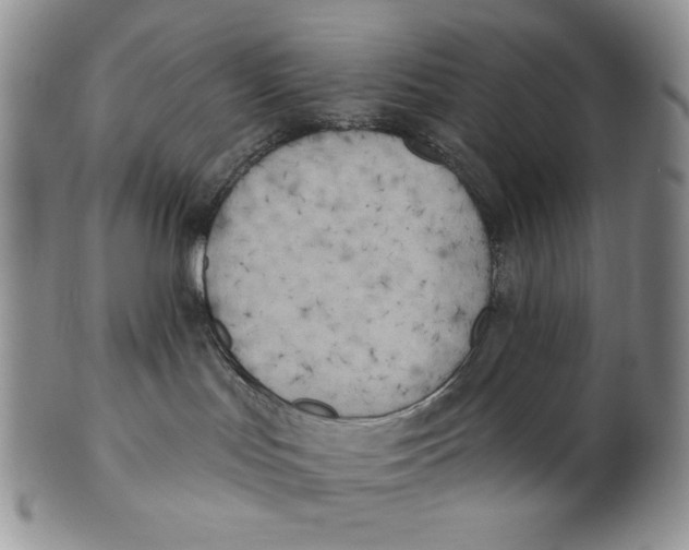 X0000100770047200807101802