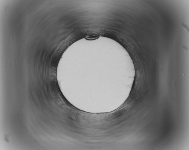 X0000100770048200807101802