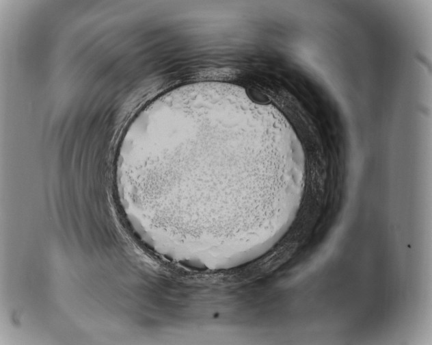 X0000100770049200807101801