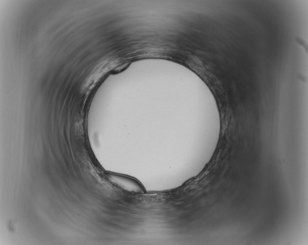 X0000100770050200807101801