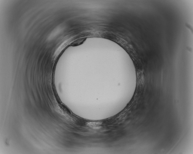 X0000100770051200807101801