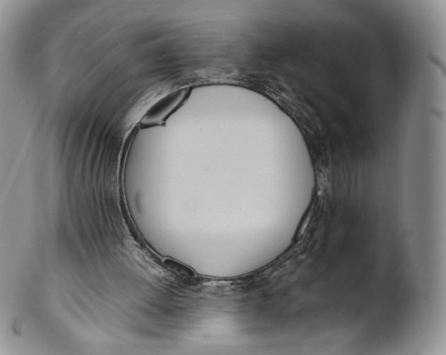 X0000100770052200807101801