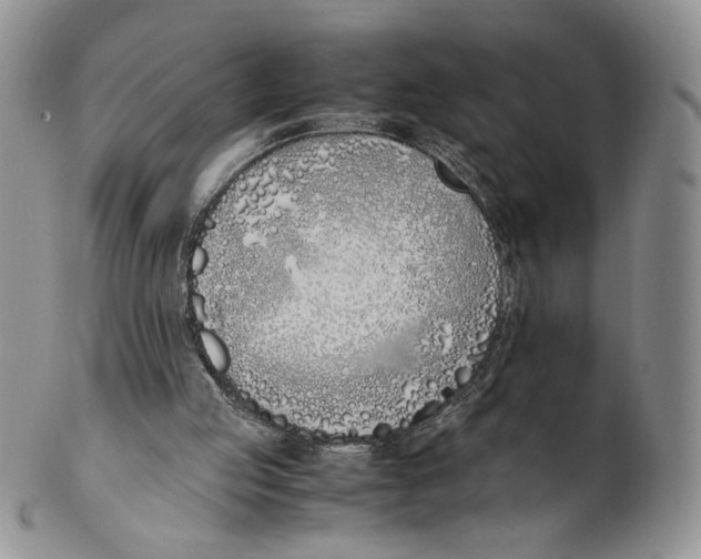 X0000100770053200807101801