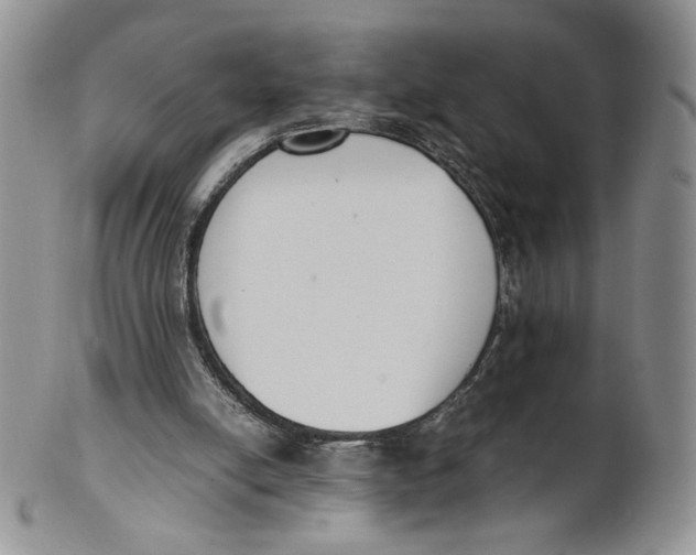 X0000100770054200807101802
