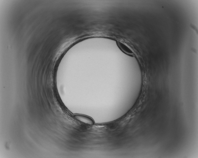 X0000100770055200807101802