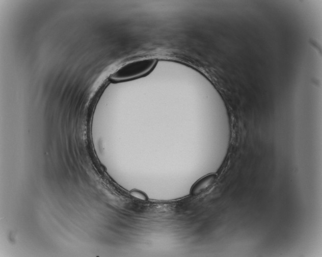X0000100770056200807101802