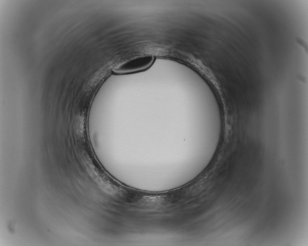 X0000100770057200807101802
