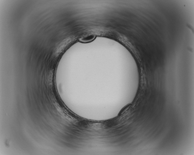 X0000100770058200807101802