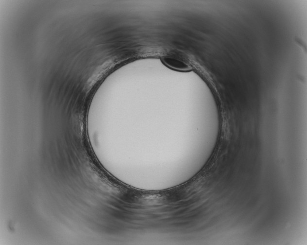 X0000100770059200807101802