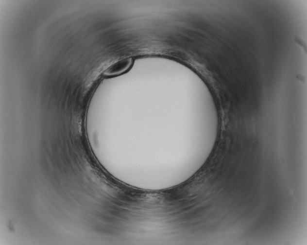 X0000100770060200807101802