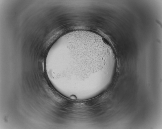 X0000100770061200807101802