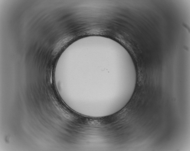 X0000100770062200807101802