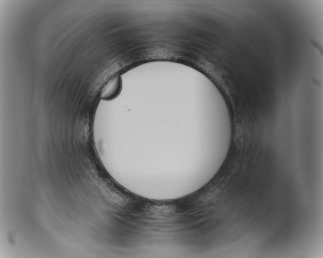 X0000100770063200807101802