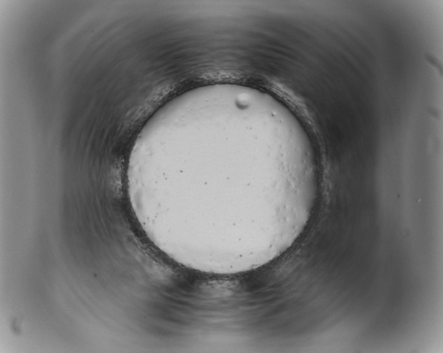 X0000100770065200807101802