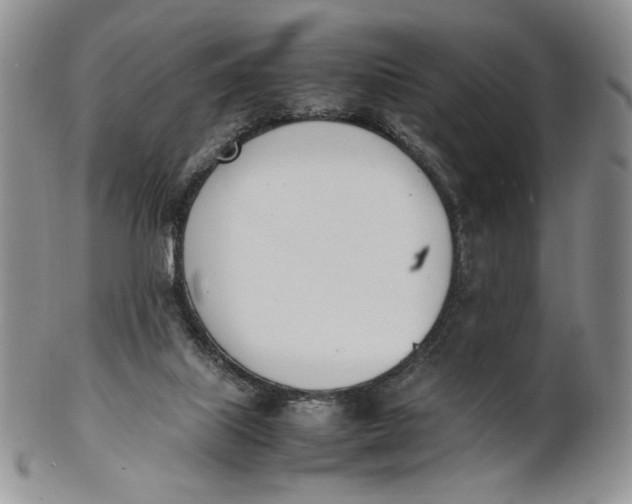 X0000100770067200807101802
