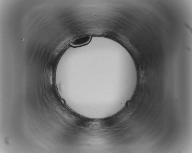 X0000100770068200807101802