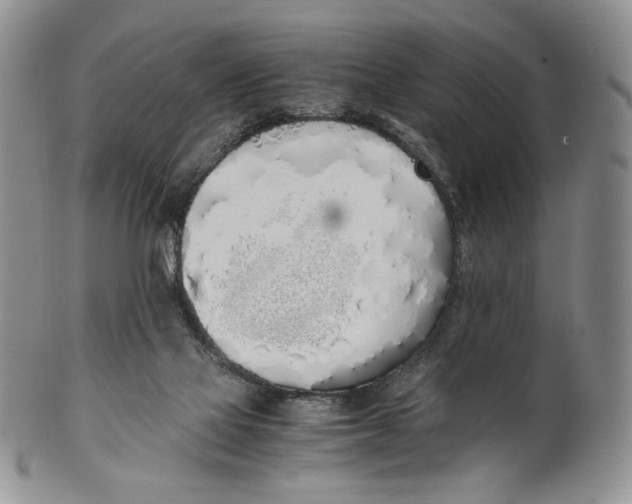 X0000100770069200807101802
