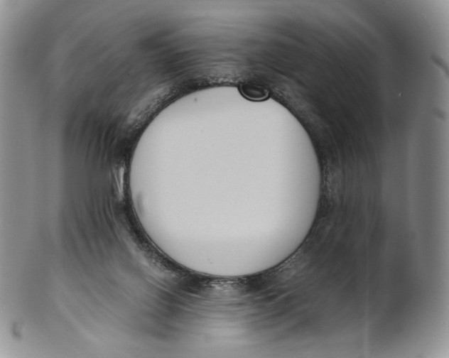 X0000100770070200807101802