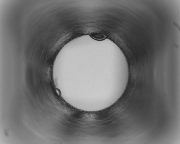 X0000100770071200807101802