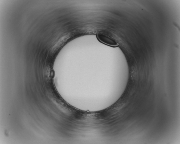 X0000100770072200807101802