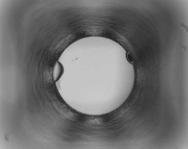 X0000100770073200807101802